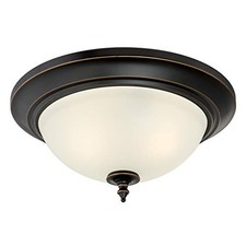 Westinghouse Lighting 63048