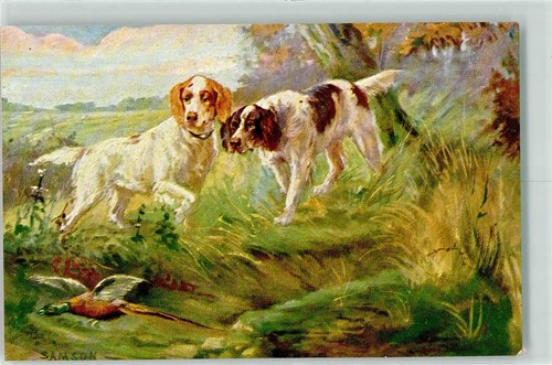 39282152 epagneul breton - epagneul,