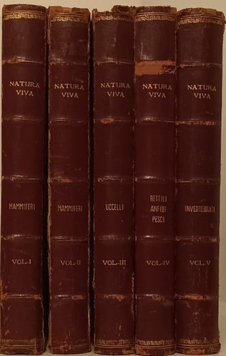 Natura viva volumi 1 - lz-,