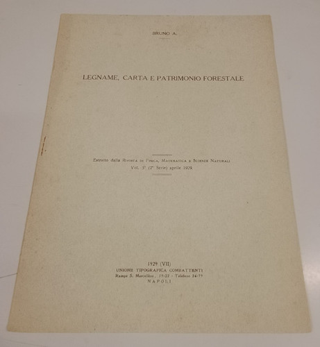 Bruno alessandro legname - bruno,