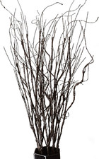 10 Rami Artificiali Decorativi
