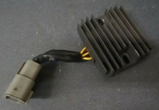 Ski Doo Raddrizzatore