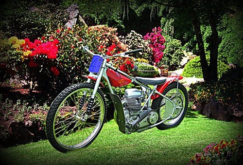 1986 jawa speedway - , bike