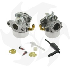 Carburatore a vaschetta per motori BRIGGS & STRATTON 798653 (ex 791077 - 698859)