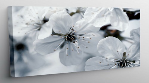 Quadro moderno stampa - su, tela