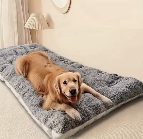 Divano letto cuccia per - letto,