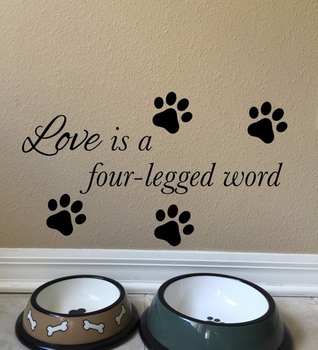 Love quattro zampe word - love,