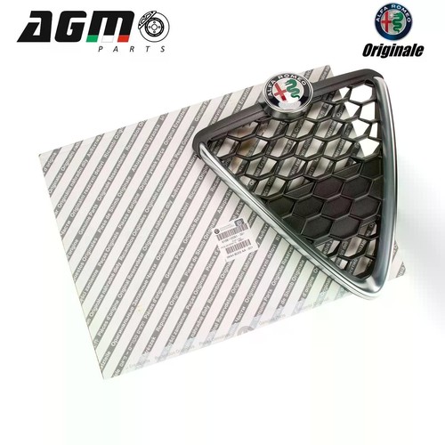 Griglia radiatore scudo