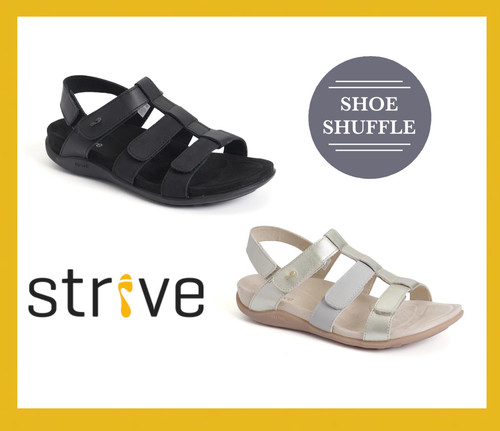 Strive cassis supporto arco - strive,