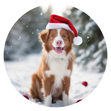 Adesivo auto XXL Irish Red and