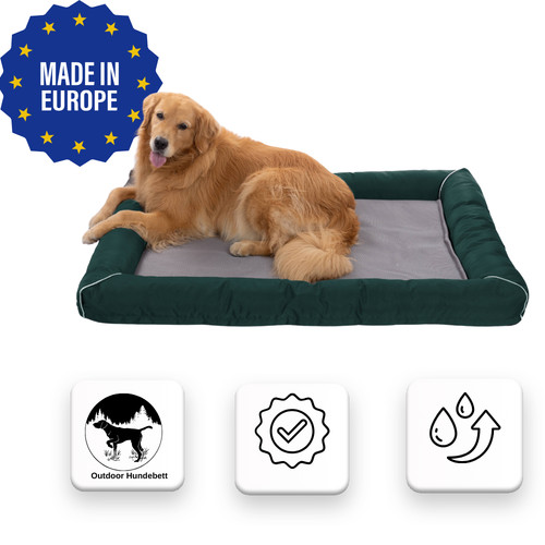 Cuccia per cani esterno - cuccia,