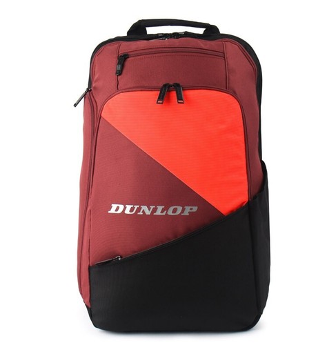 Dunlop 2024 performance - dunlop,