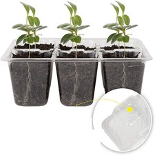 3 Pezzi Seminiera in Plastica