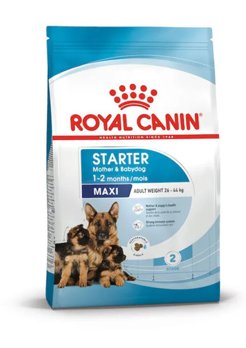 Royal dog starter - , mother