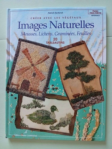 Immagini naturali muschi - immagini,