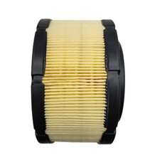 3582358 21646645 Filtro aria