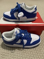 Nike Dunk Low Retro SP