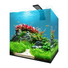 Aqpet Fresh Box 30 Acquario Dolce Completo Accessorio Per Animali Domestici