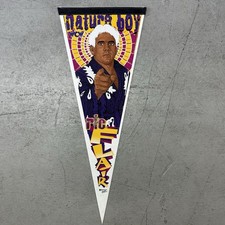 Vintage ric flair nature - ric,