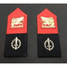 Mostrine polizia militare - mostrine,
