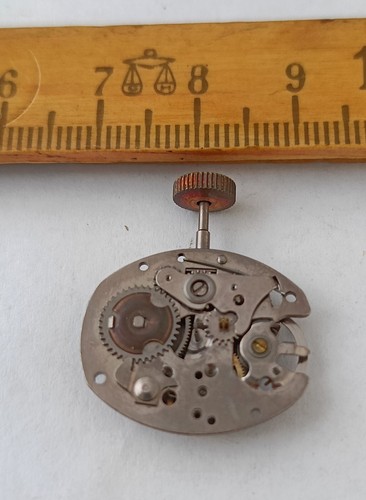 Movimento orologio polso