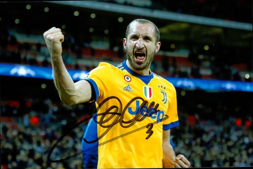 Giorgio chiellini foto firmata - giorgio,