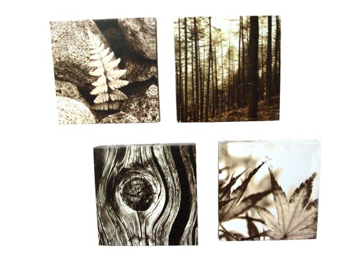 Quadri tela canvas - quadri,