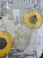 Plexy Doppia Bolla Suzuki GSX