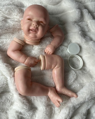 Bountiful baby ginger di - bountiful,