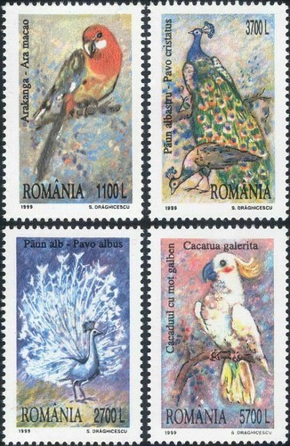Romania 1999 pavone - pavone, ara