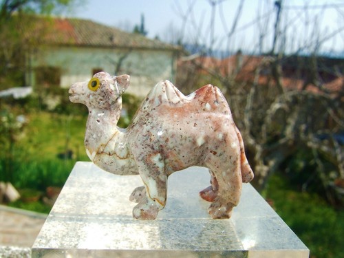 Animali incisi pietra - incisi,