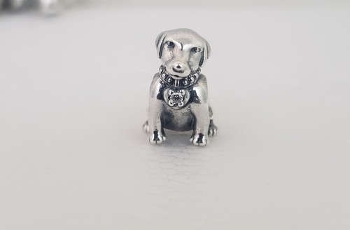 Charm pandora cane - 🐶,
