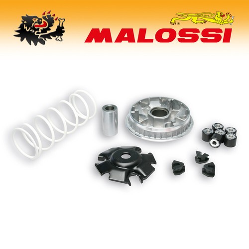 5111572 malossi variatore - [malossi],