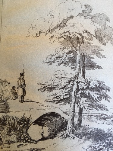 Bellissimo grande disegno - grande,