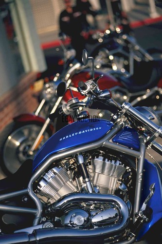 Harley davidson vrsca rod - davidson, v