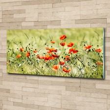 Quadro Stampa Vetro Wall Art