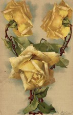 C. KLEIN - Alfabeto Lettera "Y" - Alphabet Letter "Y" - Scritta - #021