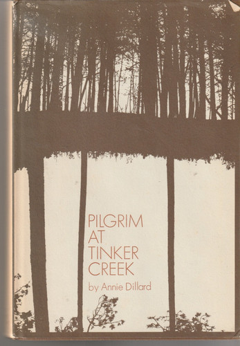 Pilgrim tinker creek - at,