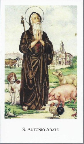Antonio abate santino - antonio,