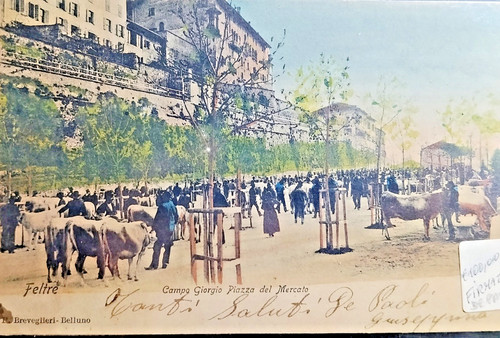 Feltre campo giorgio piazza - feltre,, giorgio,piazza