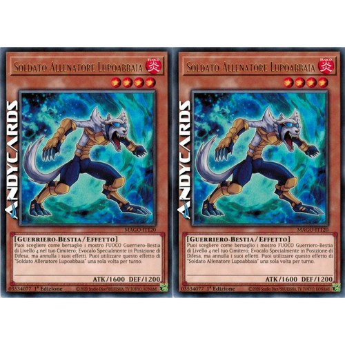Soldato allenatore - 2x,