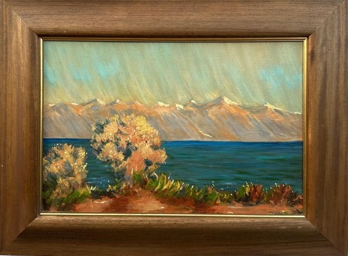 Dipinto impressionista xx - dipinto,