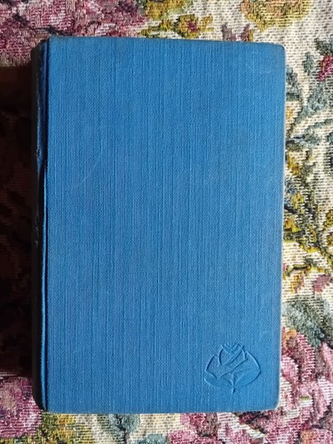 Romanzo figlio del - romanzo:, il