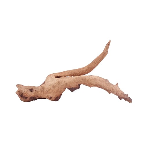 Aquarium radice deko mopani - aquarium,