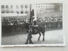PHOTOGRAPH PALIO DI SIENA