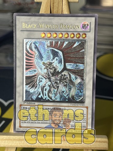 Black winged dragon - black-winged,