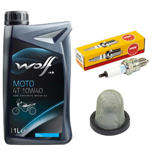 Kit olio ispezione filtro - olio, 1l