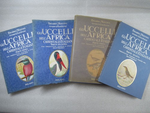 Gli uccelli dell africa - uccelli, dell'africa