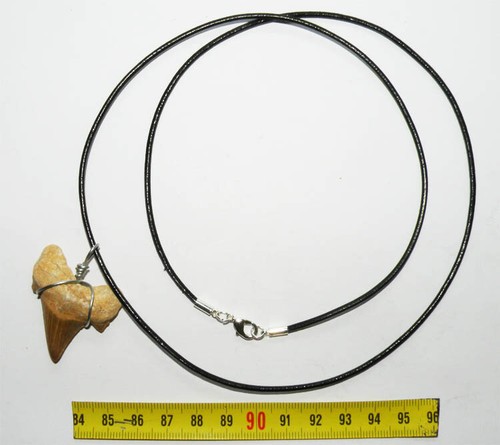 Collana sospensione dente - collana, a