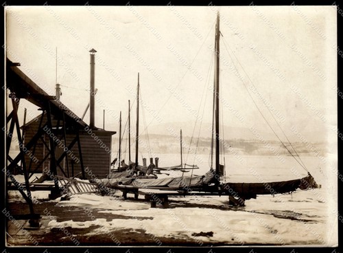 American ice barche sul - ice,